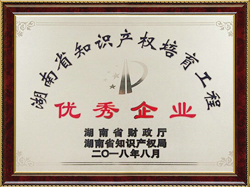 湖南省优秀企业